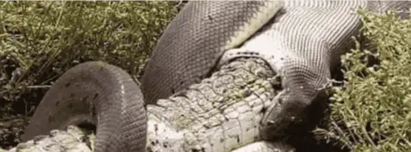 Happy Sunday: This story is creepy as hell!